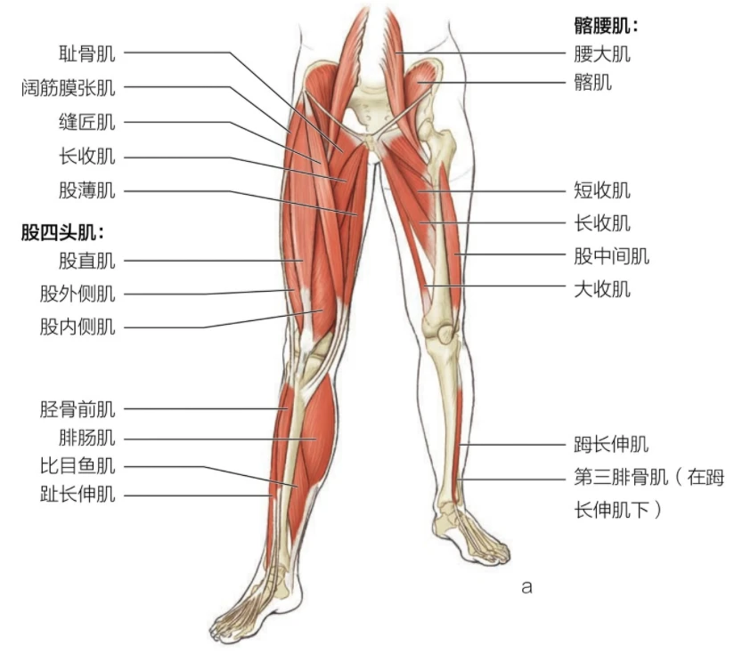 制定篮球交流计划以促进个人技能发展的方法_1